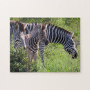 Zoek naar zebras puzzels Elk persoon