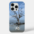 Zoek naar driftwood iphone hoesjes Kust