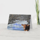 Zoek naar koe kerstkaarten Vee