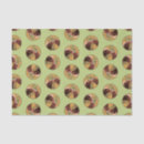 Zoek naar beer tissue papier Kubus