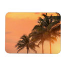 Zoek naar miami magneten Oceaan