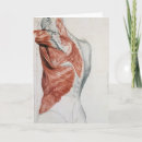 Zoek naar torso briefkaarten Musculair