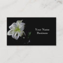 Zoek naar fractals visitekaartjes Zwart