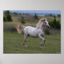 Zoek naar spotty kunst Animal