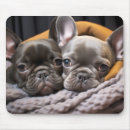 Zoek naar franse buldog muismatten Hond