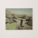 Zoek naar aziatische olifant puzzels Corbett