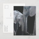 Zoek naar safari dieren briefkaarten Voor haar