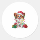 Zoek naar papillon hond stickers Dier