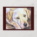 Zoek naar labrador retriever briefkaarten Waterverf