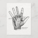 Zoek naar anatomie briefkaarten Vintage