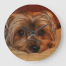 Zoek naar yorkshire terrier kunst Schattig