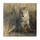 Zoek naar leeg tegels Elk persoon