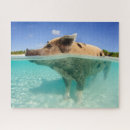 Zoek naar bahamas puzzels Tropisch