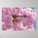 Zoek naar roze boom posters Bloem