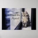 Zoek naar katten venster kunst Kitten