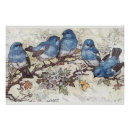 Zoek naar blauwe vlinder kunst Vogel