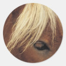 Zoek naar wit paard stickers Equine