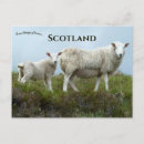 Zoek naar isle skye briefkaarten Verenigd koninkrijk