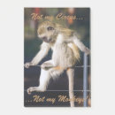 Zoek naar gekke aap posters Apen