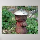 Zoek naar brandkraan posters Fotografie