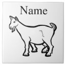 Zoek naar geiten tegels Schapen