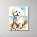 Zoek naar bichon frise kunst Waterverf