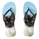 Zoek naar katten schoenen Siamese