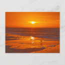 Zoek naar strandloper briefkaarten Beach