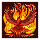 Zoek naar phoenix vogel posters Onsterfelijkheid