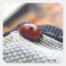 Zoek naar lieveheersbeestje stickers Elk persoon