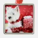 Zoek naar westie ornamenten Kerst