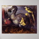 Zoek naar dodo kunst Dier