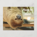 Zoek naar sloth briefkaarten Sloten