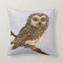 Zoek naar valk kussens Vogel