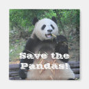 Zoek naar dierentuin magneten Panda