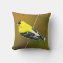 Zoek naar goudvink kussens Vogel