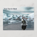 Zoek naar whale briefkaarten Dieren