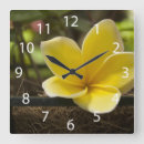 Zoek naar hangende klokken Natuur