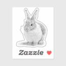 Zoek naar potloodtekening stickers Zwart wit