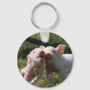 Zoek naar varkens sleutelhangers Biggen