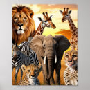 Zoek naar afrikaanse dieren posters Mooi