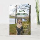 Zoek naar grappige jagers kaarten Voor hem