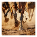 Zoek naar het paard posters Westers