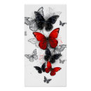 Zoek naar morpho vlinder posters Illustratie