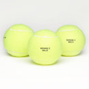Zoek naar vader tennisballen Grappig