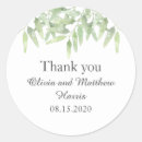 Zoek naar olijftak stickers Groen