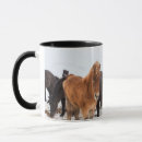 Zoek naar ijslandse paarden mokken Veulen