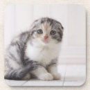 Zoek naar volledige lengte onderzetters Studio shot