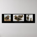 Zoek naar natuur collage posters Fotografie