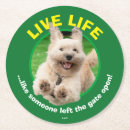 Zoek naar baard onderzetters Humor